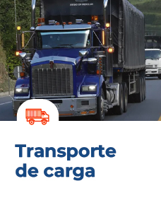 SECCIONES-new_Mesa de trabajo 1 copia 7